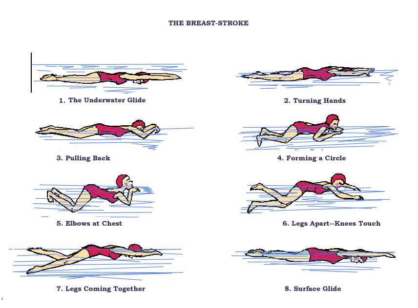 Breaststroke swimming lesson in kl pj shah alam jb seremban penang