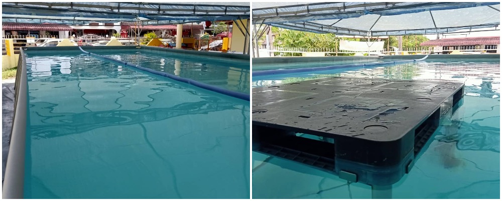 Kepong Swimming lesson